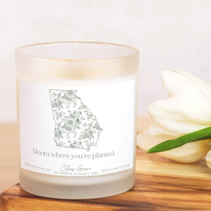 State of Toile Candle - CHOOSE YOUR STATE - Citrus Grove