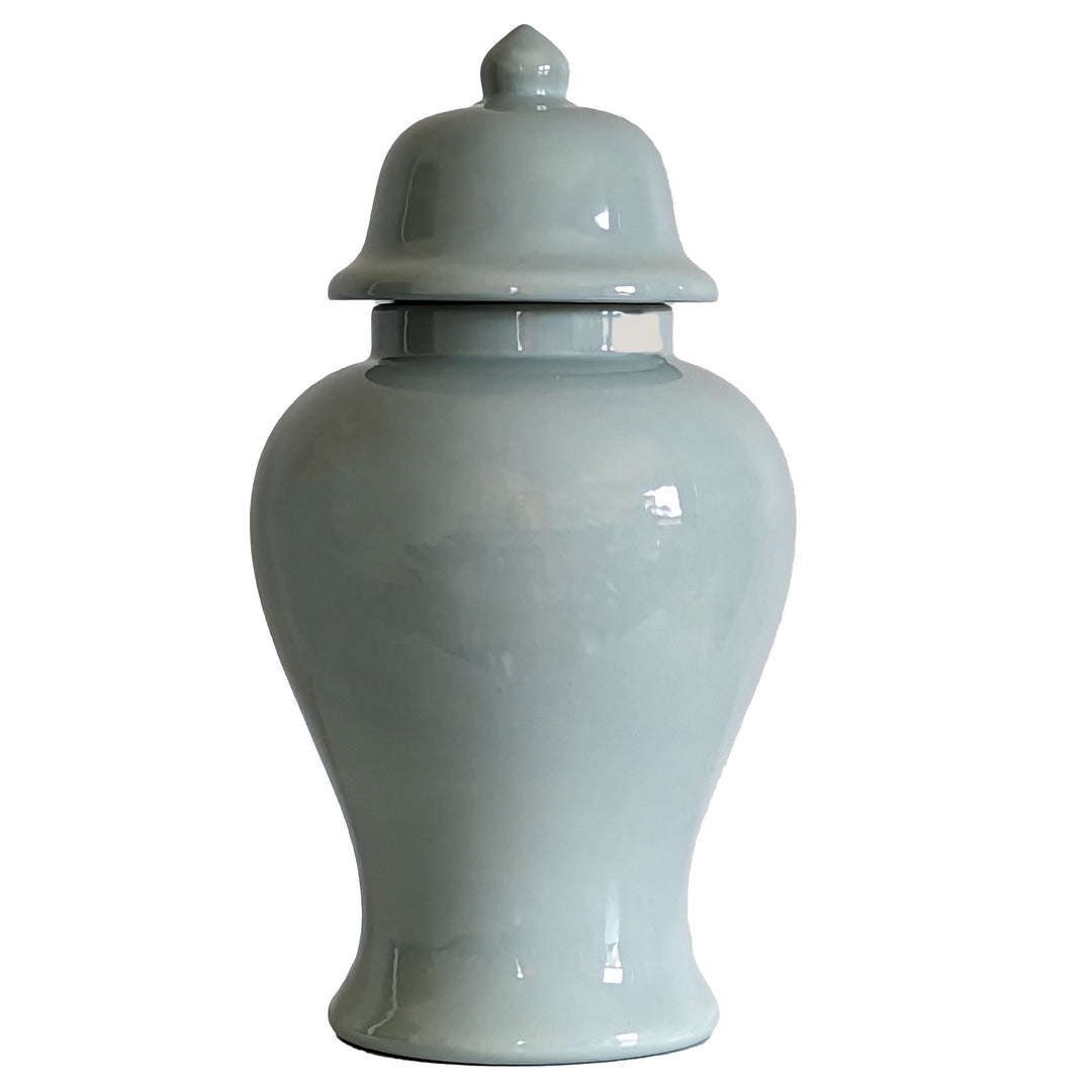 Lamb's Ear Blue Ginger Jars